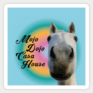 mojo dojo colorful meme Magnet